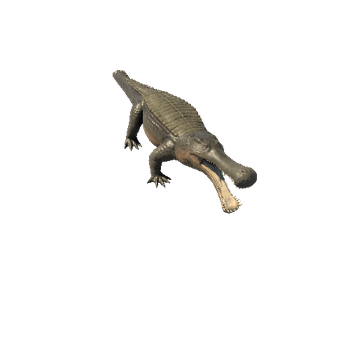 Sarcosuchus5 Variant